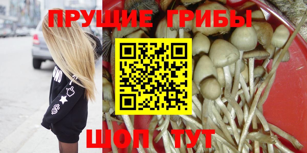 Дубна  Псилоцибиновые грибы ЛСД  Вход с VPN 