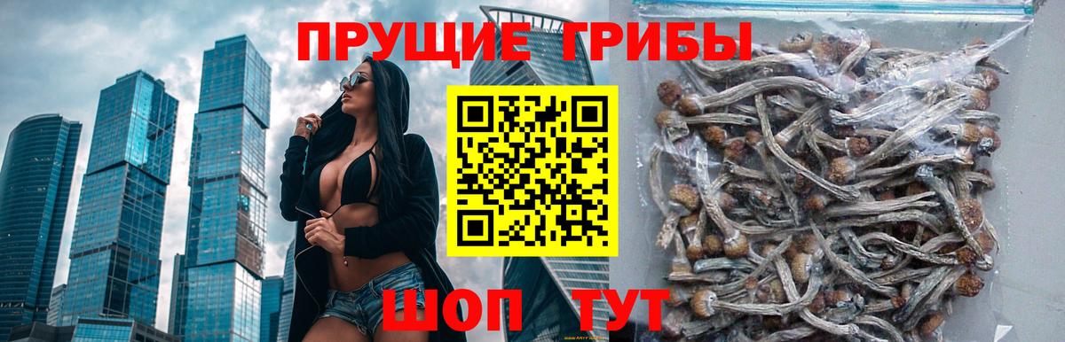 Галлюциногенные грибы мицелий Дубна